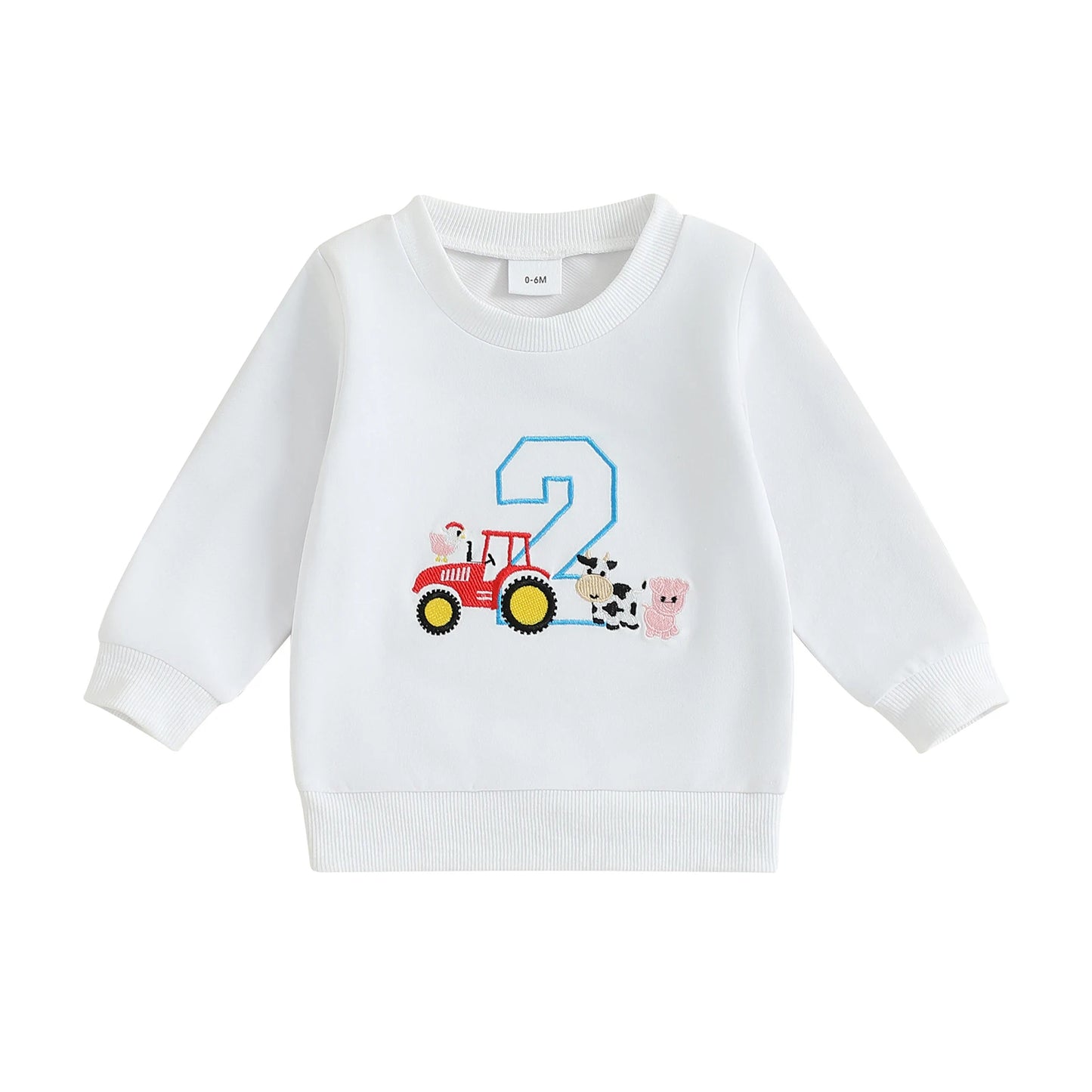 Adorable Infant Hoodie With Dinosaur Print And Cozy Fleece Lining