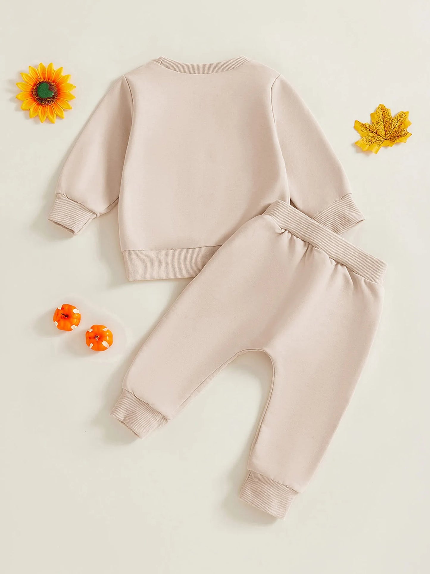 Guangdong Toddler Boys Outfit Set Short Sleeve Shirt Shorts