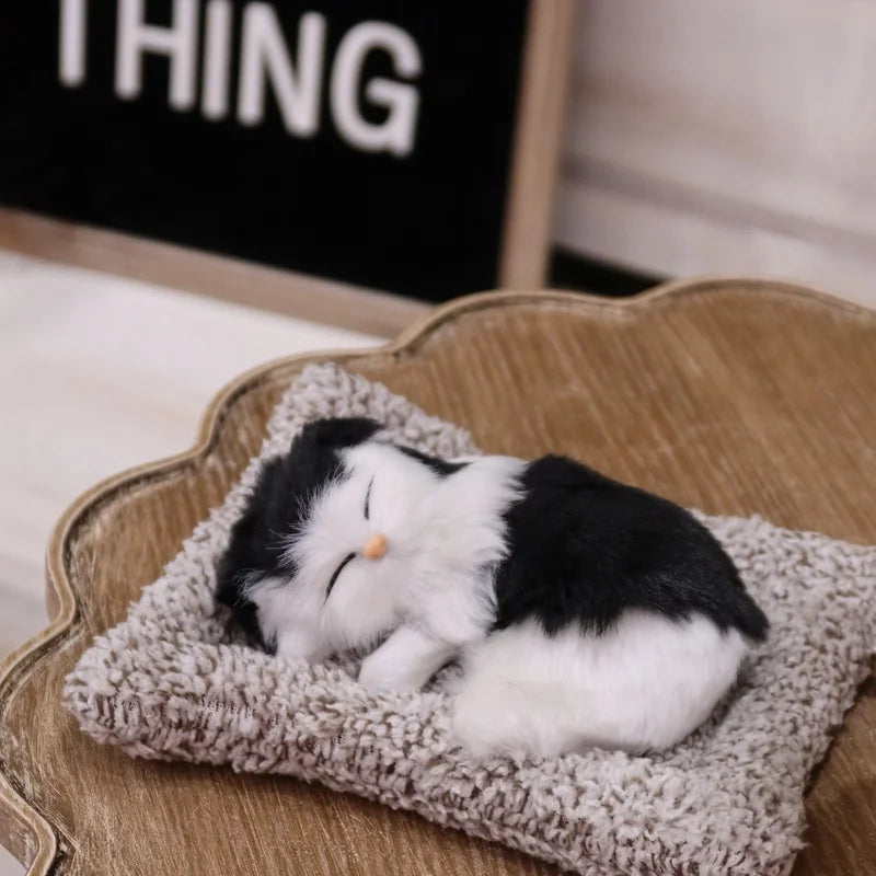 Interactive Meowing Kitten Plush With Press To Meow Sound Gift