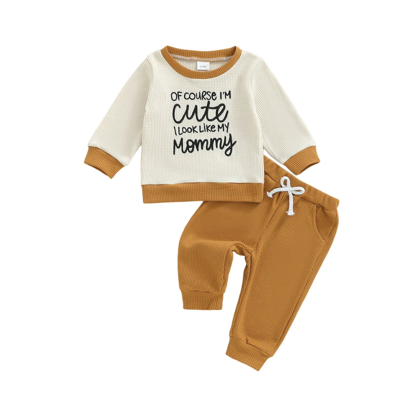 Toddler Boys Cartoon Print Short Sleeve Shirt And Shorts Set