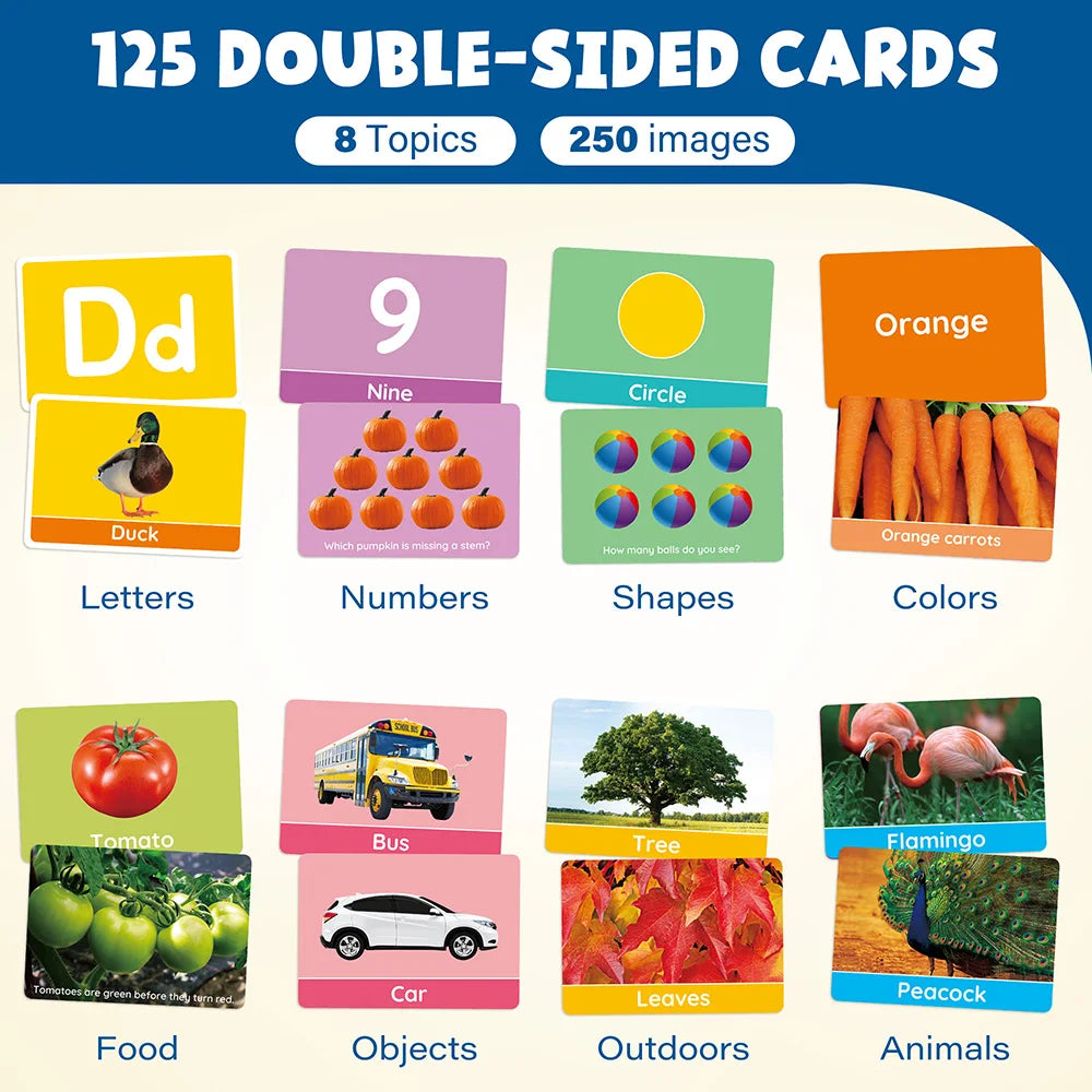 Hign-concerned Double-Sided Alphabet Flash Cards Toddlers